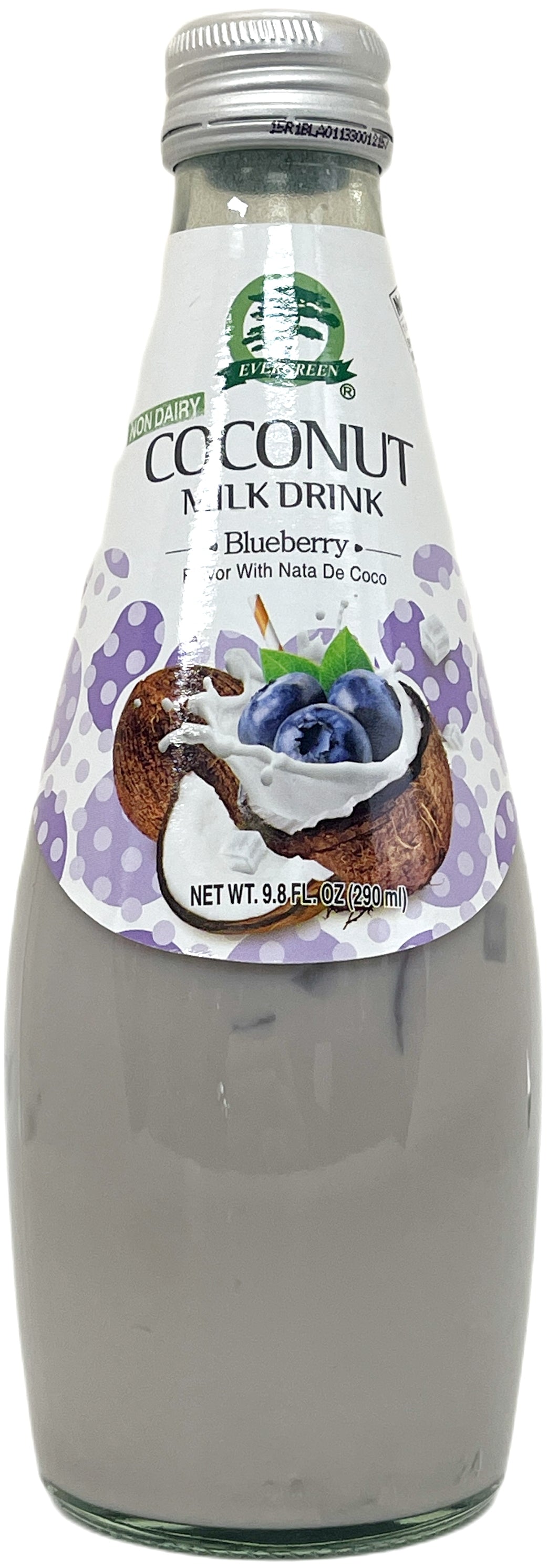EVERGREEN COCONUT MILK DRINK - BLUEBERRY (9.8oz)