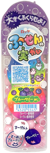 LOTTE FUSEN NO MI GUM - BLUEBERRY (1.2oz)