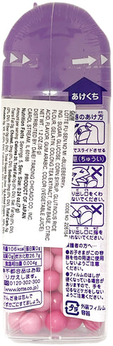 LOTTE FUSEN NO MI GUM - BLUEBERRY (1.2oz)