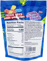 MINI CRUSH FREEZE-DRIED GUMMY WORM CANDY (1.76oz)