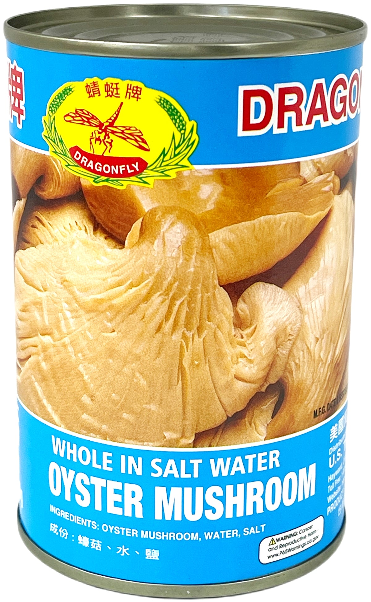DRAGONFLY OYSTER MUSHROOM IN SALT WATER - WHOLE (15oz)